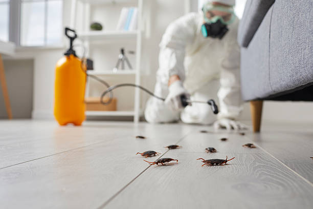 Commercial Kitchen Cockroach Control in Tunica